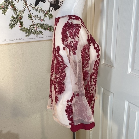 Minkpink Embroidered Sheer Mesh Top Pink Tulle Burgundy Trim Bell Sleeves Size S - Picture 10 of 14